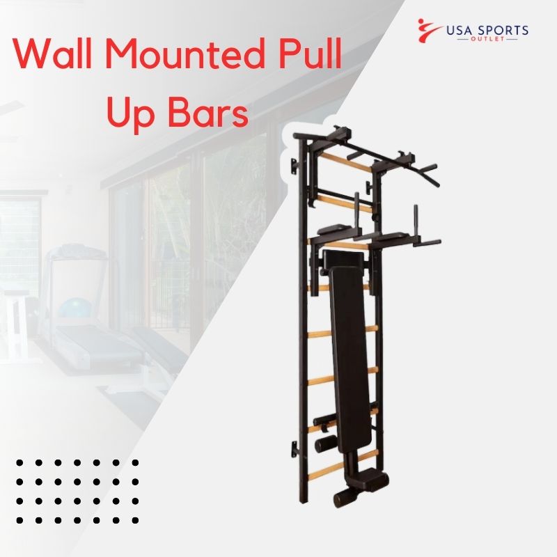 Wall Mounted Pull up Bars
