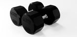 12 Sided Rubber Dumbbell - 100 lbs