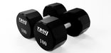 12 Sided Urethane Dumbbell - 100 lbs