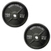 Body-Solid Cast Iron Olympic Weight Plates OPB - 2 pieces of 100 lbs/45.4 kg plates