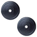 Body-Solid Chicago Extreme Bumper Plates OBPX -2 photo of 25lbs on opposite corner 