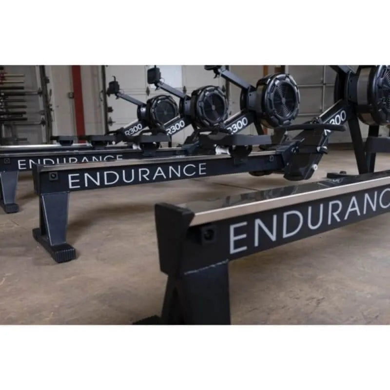 Body-Solid Endurance Indoor Rower R300 - close up photo of the endurance logon on the product