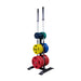 Body-Solid Olympic Weight Tree and Bar Holder GWT56 - Rack with colorful weight plate