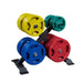 Body-Solid Olympic Weight Tree GWT66 - Rack with colorful weight plate