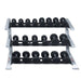 Body Solid Pro Club Line SDKR 3 Tier Saddle Dumbell Rack - with dumbells on it 