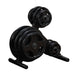 Body-Solid Tools Olympic Plate Tree OWT24 - With black plates