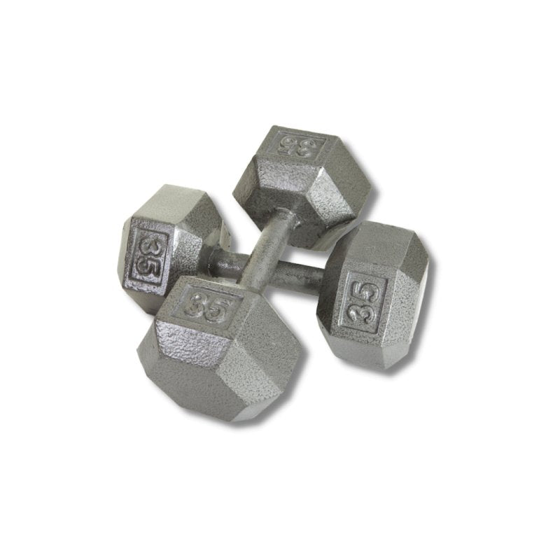 Cast Iron Dumbbell - 35 lbs