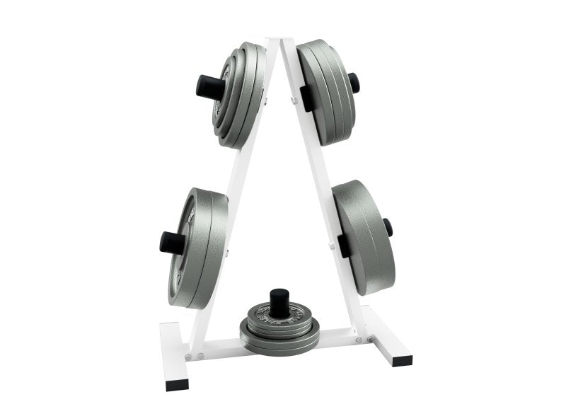 Economy Olympic Plate Rack - with plates 