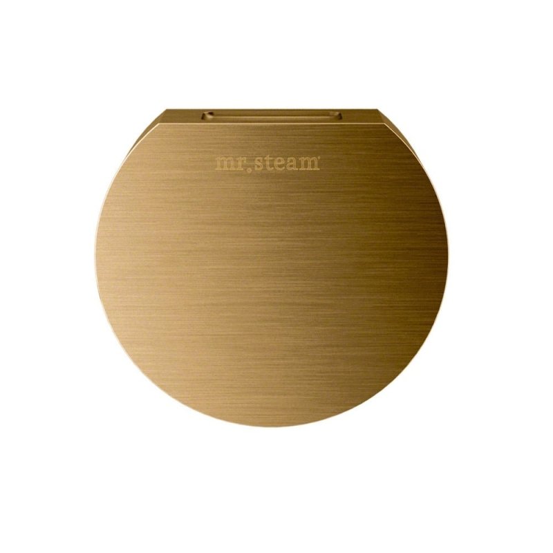 Mr. Steam Aroma Designer 3 in. W. Steamhead with AromaTherapy Reservoir Round - gold