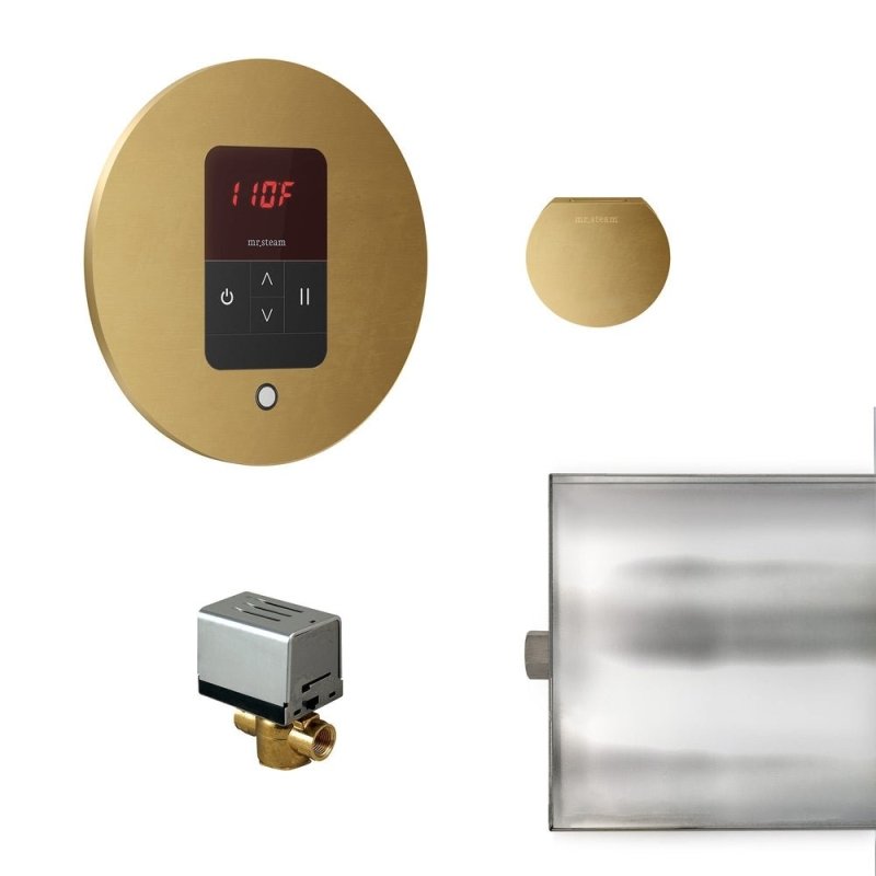 Mr. Steam Basic Butler Steam Shower Control Package with iTempo Control and Aroma Designer SteamHead Round - silver and golden valve