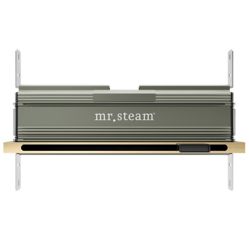 Mr. Steam Linear 16 in. W. Steamhead with AromaTherapy Reservoir - Finish: Polished Brass