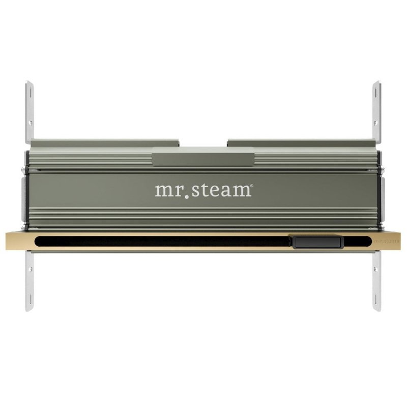 Mr. Steam Linear 16 in. W. Steamhead with AromaTherapy Reservoir - Finish: Satin Brass