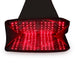 Red Light Therapy Pod - zipped showing the red lights 