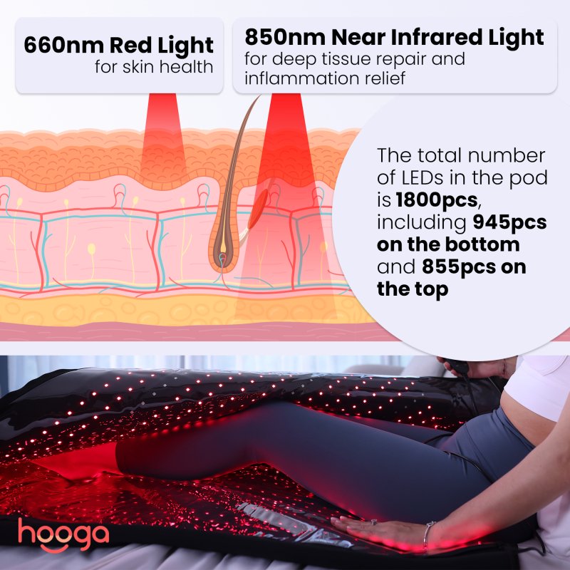 Red Light Therapy Pod XL - layers on skin illustration