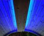 SaunaLife Emood Color Lighting for ERGO Sauna -