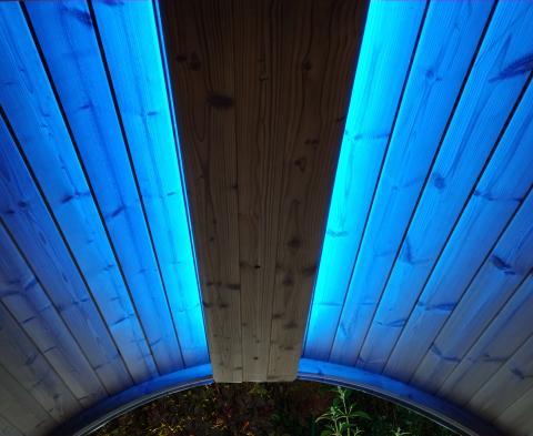 SaunaLife Emood Color Lighting for ERGO Sauna - blue lighting