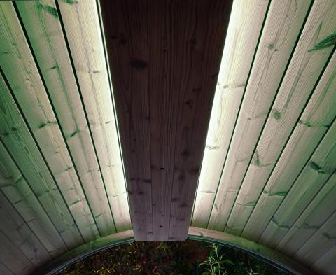 SaunaLife Emood Color Lighting for ERGO Sauna - light green lighting