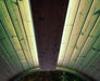 SaunaLife Emood Color Lighting for ERGO Sauna - green lighting
