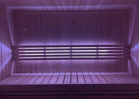 SaunaLife Lighting for Model X6 Sauna - purple lighting