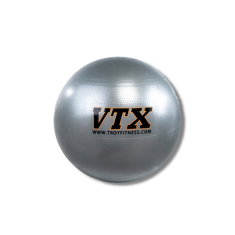 Stability Ball - gray color variation