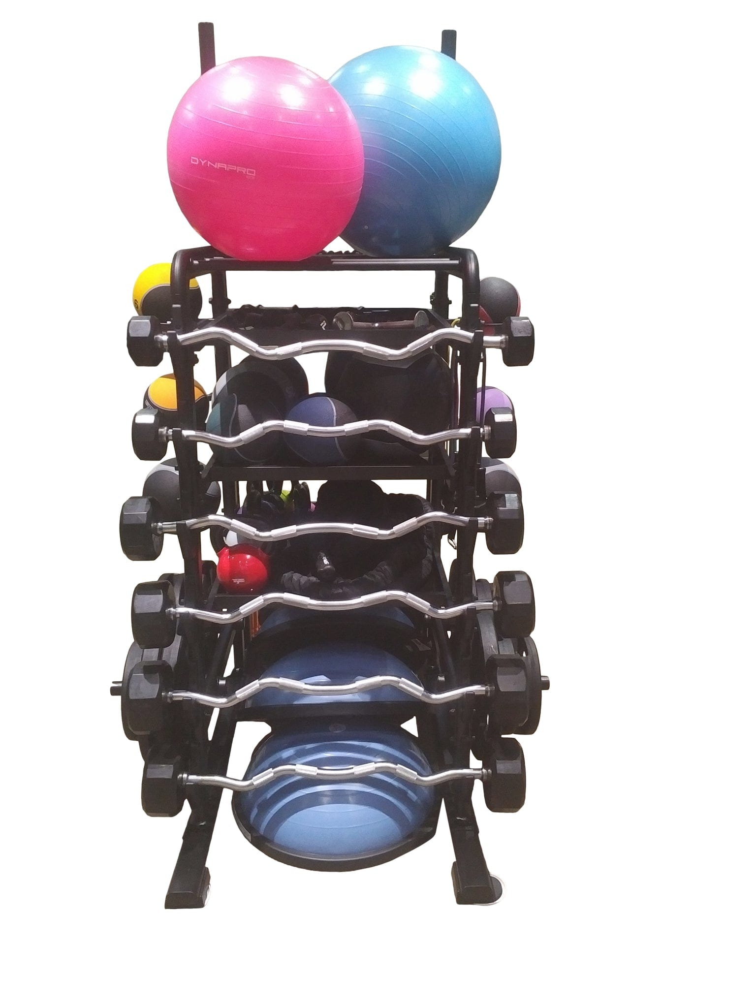 TotalStorage The HUB300 Pro Equipment Storage - a rack of gym weights and balls