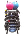 TotalStorage The HUB300 Pro Equipment Storage - a rack of gym weights and balls