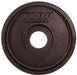 TROY Premium Wide Flanged Plate - 10 lbs plate