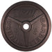 TROY Premium Wide Flanged Plate - 45 lbs plate