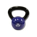 Vinyl Kettlebell - 20 lbs kettlebell with blue color variation