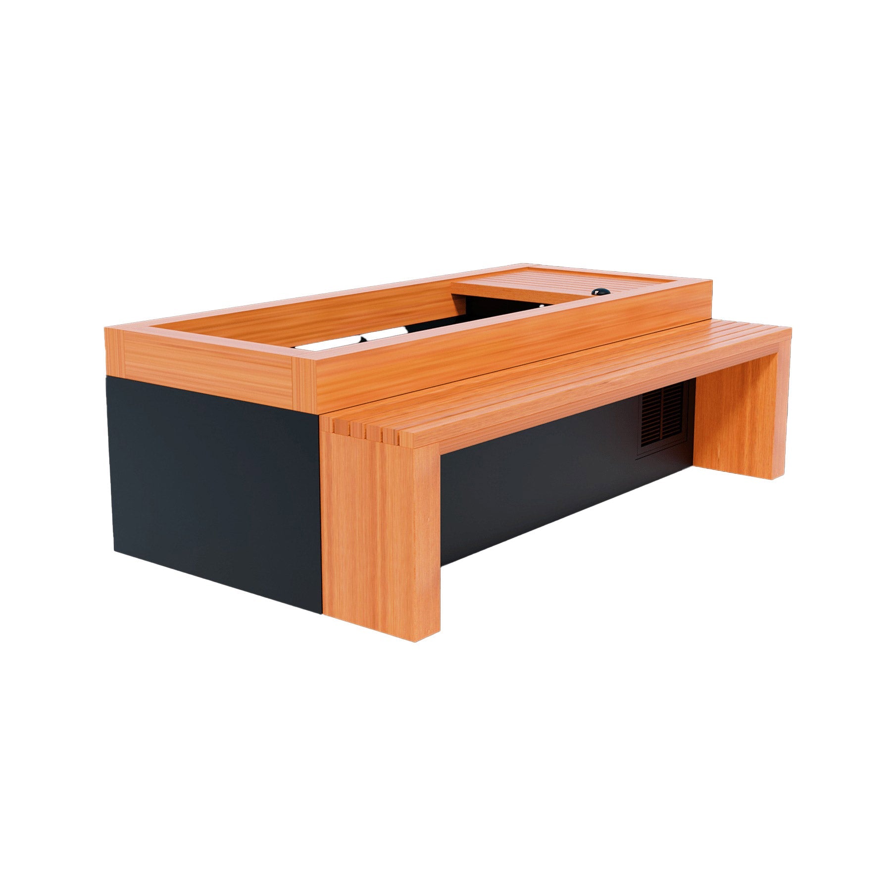 Medical Frozen 2 Cold Plunge - wooden bench